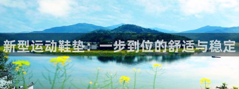 zoty中欧官方平台体育:新型运动鞋垫:一步到位的舒适与稳定