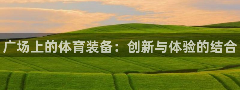 zoty中欧体育官方正版app娱乐代理怎么样:广场上的体育装