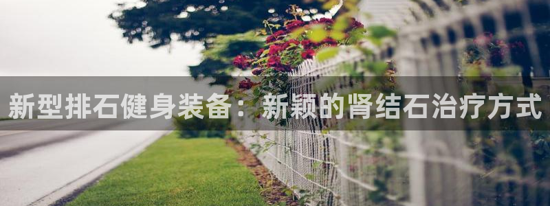 zoty中欧体育官方正版app娱乐首页网站大全:新型排石健身